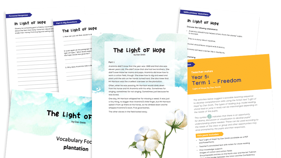 image of Year 5 Reading Comprehension (autumn): The Light of Hope