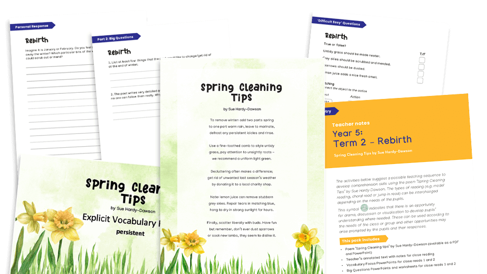 image of Year 5 Reading Comprehension (spring): Spring Cleaning Tips