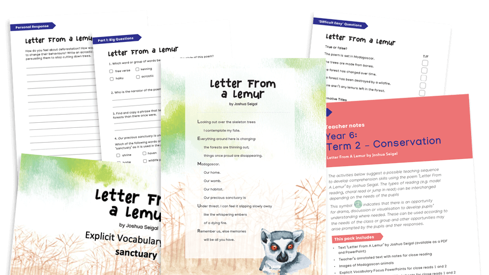 image of Year 6 Reading Comprehension (spring): Letter from a Lemur