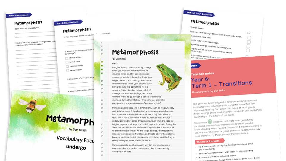 image of Year 6 Reading Comprehension (summer): Metamorphosis