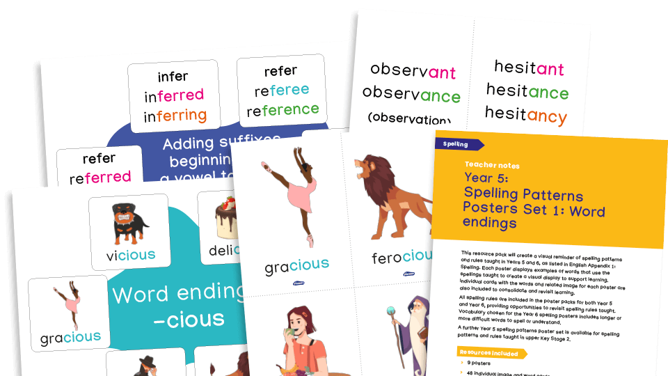 Year 5 Spellings Spelling Patterns Posters And Flashcards pack 1 year-5-spellings-spelling-patterns-posters-and-flashcards-pack-1