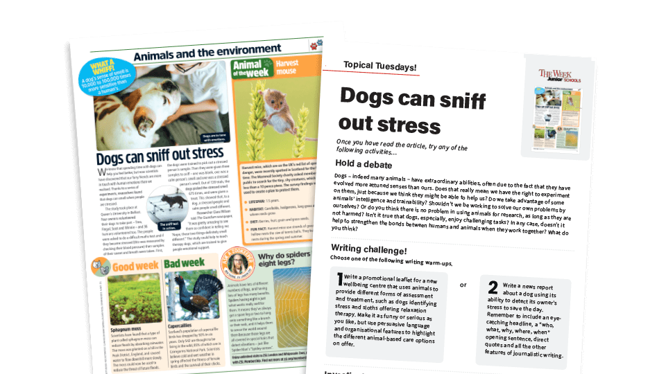 image of Topical Tuesdays: Man’s best friend - Key Stage 2 News Story and Reading and Writing Activity Sheet from The Week Junior