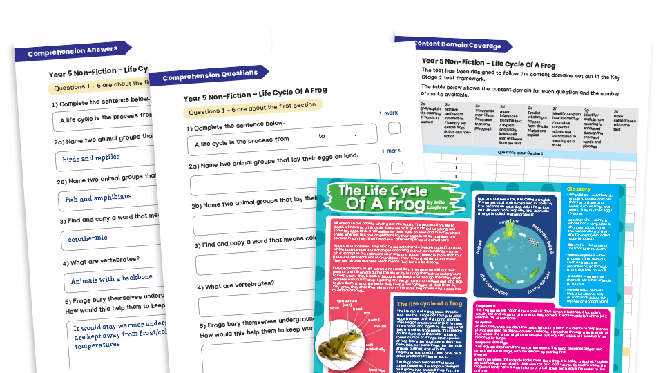 image of Year 5 Non-fiction Reading Comprehension Worksheets (with Key Stage 2 content domain coverage sheet): The Life Cycle of a Frog