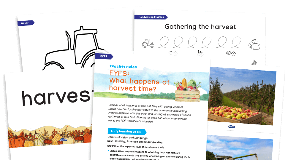 image of EYFS: What happens at harvest time? activities pack