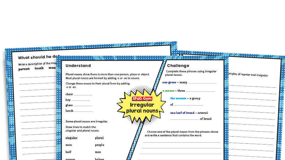 image of Year 3 and Year 4 Irregular Plurals - LKS2 Grammar Worksheets