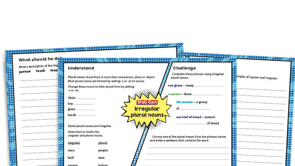 Year 3 And Year 4 Irregular Plurals LKS2 Grammar Worksheets Plazoom