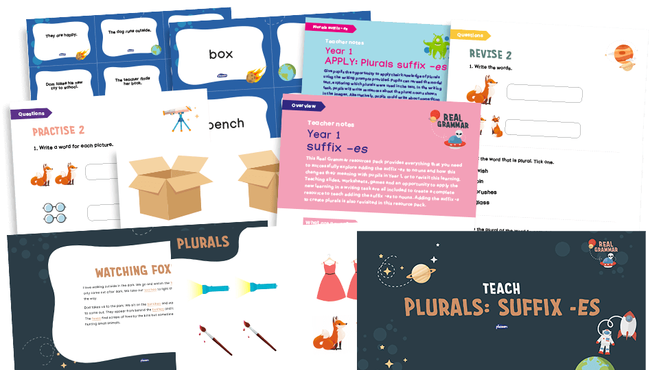 image of 1.5b Year 1: W - regular plural noun suffixes -s or -es including the effects of these suffixes on the meaning of the noun (-es)