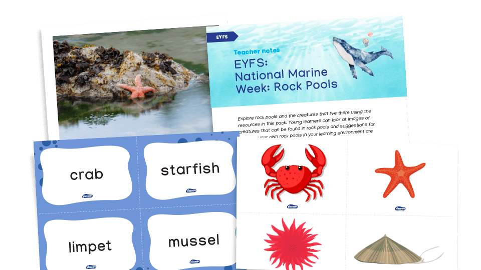 image of EYFS: National Marine Week - Rock Pools