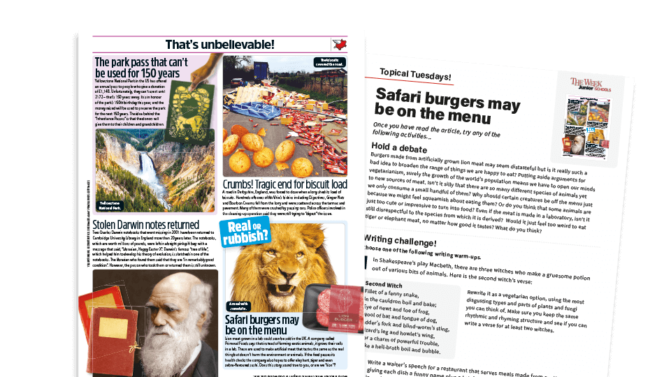 image of Topical Tuesdays: The Meat of the Matter - KS2 News Story and Reading and Writing Activity Sheet from The Week Junior
