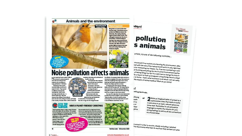 image of Topical Tuesdays: Turn It Down! – KS2 News Story and Reading and Writing Activity Sheet from The Week Junior