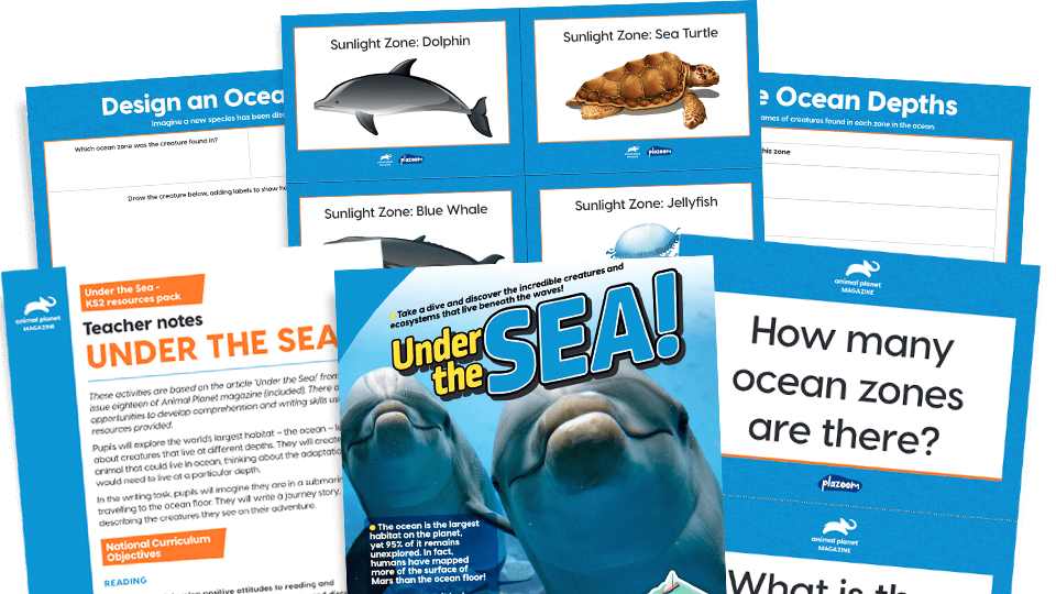 image of Under the Sea: KS2 Comprehension and Writing Activities Pack with Worksheets