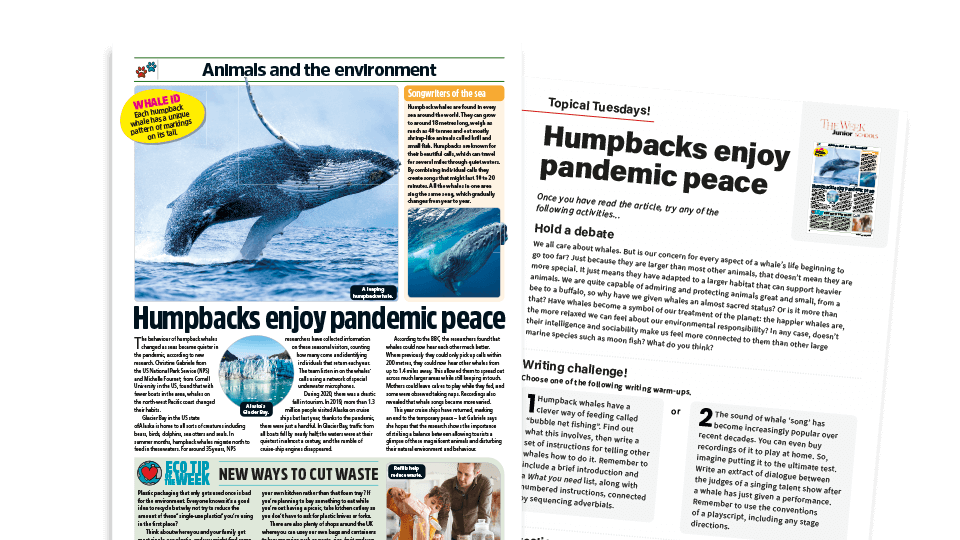image of Topical Tuesdays: Save the Whales! - KS2 News Story and Reading and Writing Activity Sheet from The Week Junior