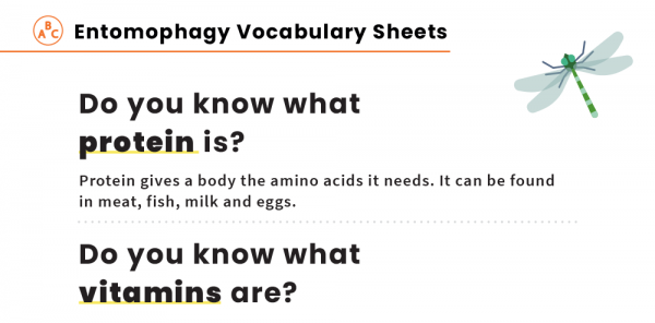 Insects argumentative essay picture