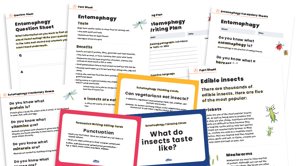 persuasive writing sentence starters ks2