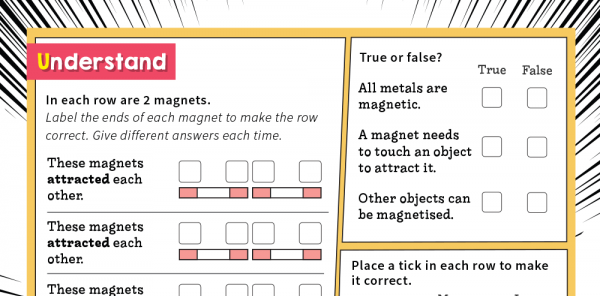 Science Topic Checker: Y3 - Forces and Magnetism | Plazoom