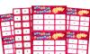 Image of Year 1 Capital Letters Bingo – KS1 Grammar Games