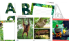 Image of KS2 Art and Design – Rainforest-Themed Classroom Display and Collage Project Pack