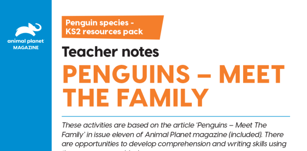 All About Penguins - KS2 Comprehension and Writing Activities Pack