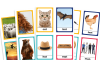 Image of KS1 Grammar – Rhyming Snap Card Game for Year 1