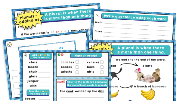 Image of Year 1 Plurals – KS1 SPaG Activities Pack