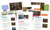Image of Composition - Art Lesson Pack