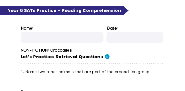 KS-1 rifle visual data 7