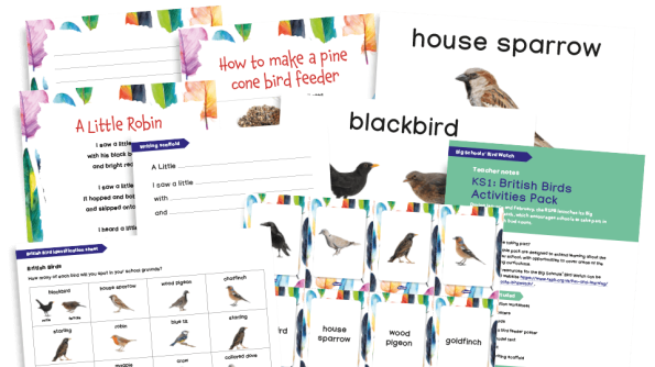 Free Teaching Resources | Plazoom