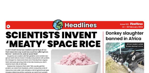 Scientists Invent ‘Meaty’ Space Rice – Topical Tuesdays Activities from ...