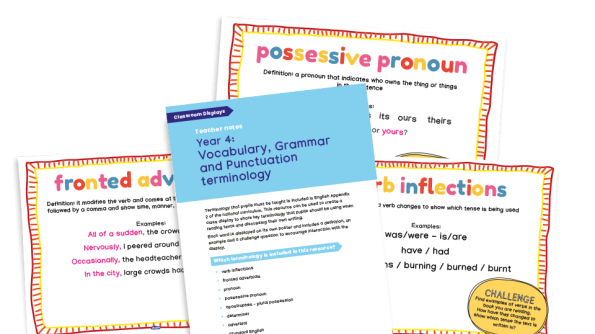Image of Grammar posters - Year 4 terminology